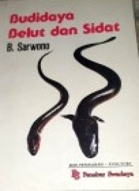 Image of BUDIDAYA BELUT DAN SIDAT